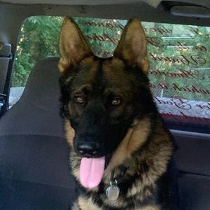 Meet your Posher, Shawn